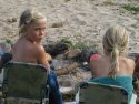 Klik for fuld størrelse