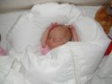 Klik for fuld størrelse